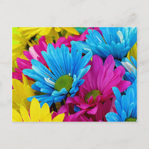 Farbenfrohe Hot Pink Aquamarin Blue Gerber Blume Postkarte