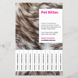 Farbenfrohe Hot Pink Pet Sitzen Aufmerksamkeit Suc Flyer