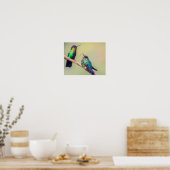 Farbenfrohe Hummingbird Couple Poster (Küche)