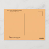 Farbenfrohe Hummingbird Fliegen Postkarte (Rückseite)