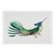 Farbenfrohe Hummingbird-Illustration