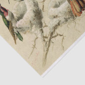 Farbenfrohe Hummingbirds with Nest, Hector Giacome Seidenpapier (Ausschnitt)
