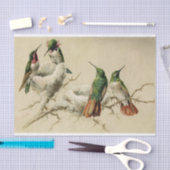Farbenfrohe Hummingbirds with Nest, Hector Giacome Seidenpapier (Handwerk)