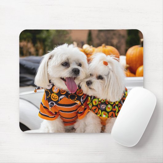 Farbenfrohe Hunde Maus Pad Mousepad (Mit Mouse)