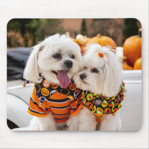 Farbenfrohe Hunde Maus Pad Mousepad