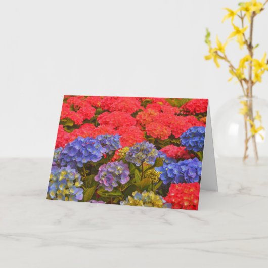 Farbenfrohe Hydrangea Blumengarten Karte (Gelbe Blume)