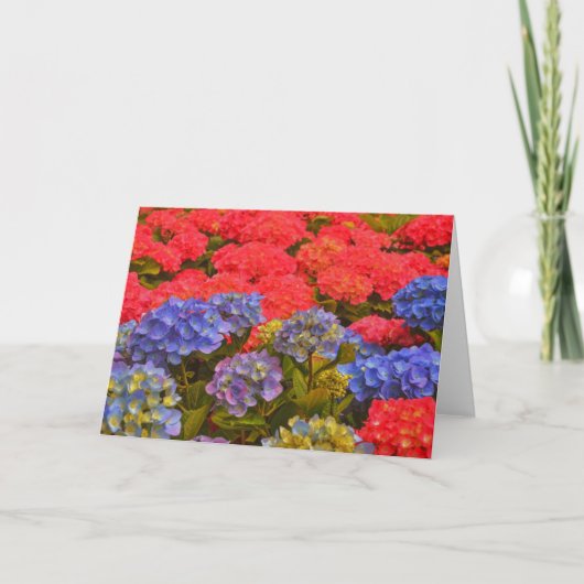 Farbenfrohe Hydrangea Blumengarten Karte (Vorderseite)