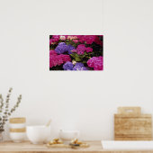 Farbenfrohe Hydrangea Poster (Küche)