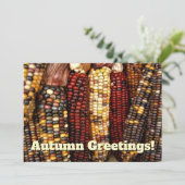 Farbenfrohe indische Cornkernels Foto Postcard Einladung (Stehend Vorderseite)