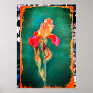 Farbenfrohe Iris-Blume Poster