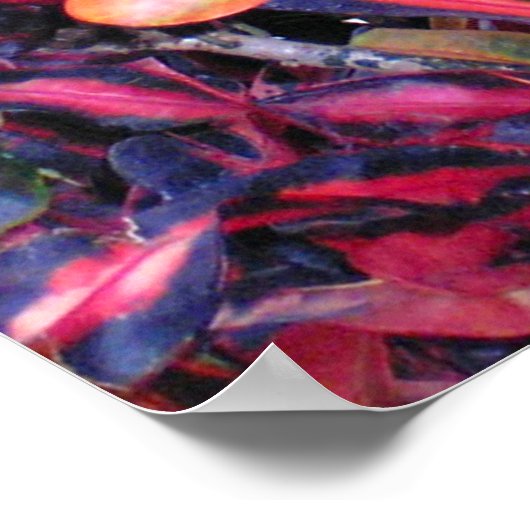 Farbenfrohe Ivy - Poster (Ecke)