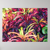 Farbenfrohe Ivy - Poster (Vorne)