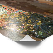 Farbenfrohe japanische Stewartia Tree Fotodruck (Ecke)