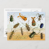 Farbenfrohe Käfer Postkarte (Vorne/Hinten)