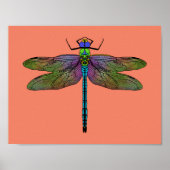 Farbenfrohe Kaiserin Dragonfly Art Poster (Vorne)