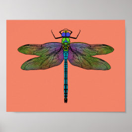 Farbenfrohe Kaiserin Dragonfly Art Poster