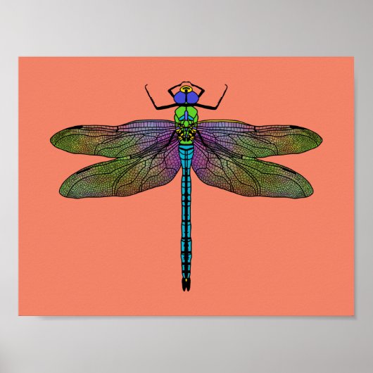 Farbenfrohe Kaiserin Dragonfly Art Poster (Vorne)