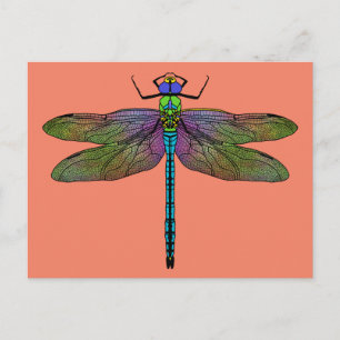 Farbenfrohe Kaiserin Dragonfly Art Postkarte