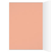 Farbenfrohe Kakteen Blooms (Innen (Links))