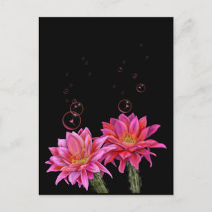 Farbenfrohe Kakteen-Blume mit Blasen-Poster Postkarte
