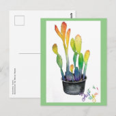 Farbenfrohe Kakti Postkarte (Vorne/Hinten)