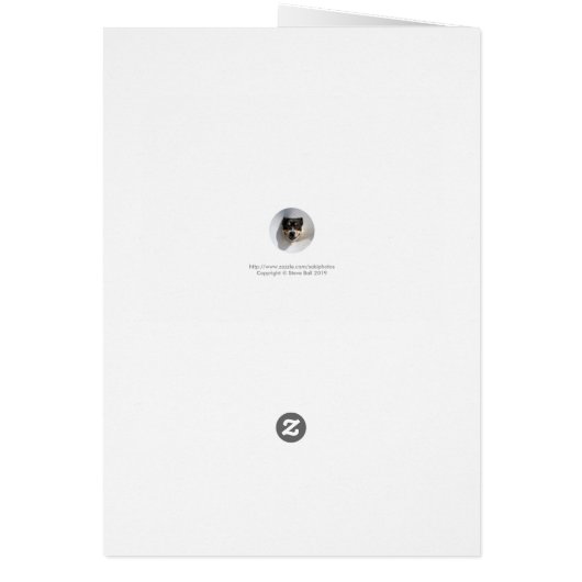 Farbenfrohe Kaleidoskopmuster (Hinten)