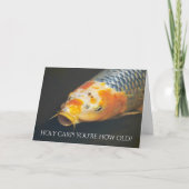 Farbenfrohe Karpfenfische Funny Geburtstag Karte (Vorderseite)