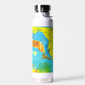 Farbenfrohe Karte Florida Trinkflasche (Links)