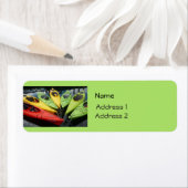 Farbenfrohe Kayaks (Insitu)