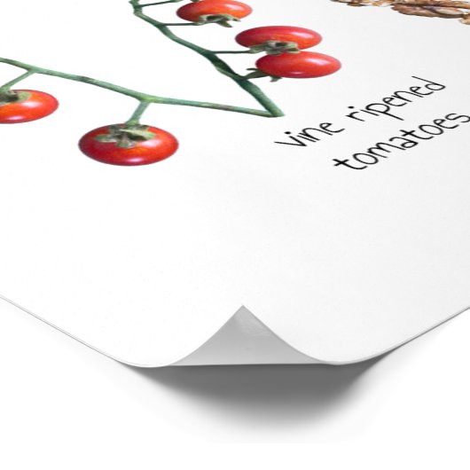 Farbenfrohe Kinder Lebensmittel Alphabet Früchte u Poster (Ecke)