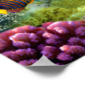 Farbenfrohe Koralle und tropische Fische Poster (Ecke)
