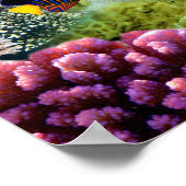 Farbenfrohe Koralle und tropische Fische Poster (Ecke)