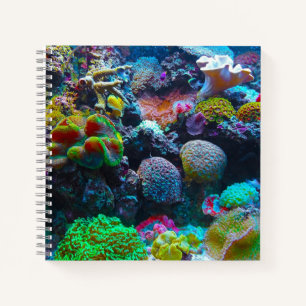 Farbenfrohe Koralle unter dem Meer Notizblock