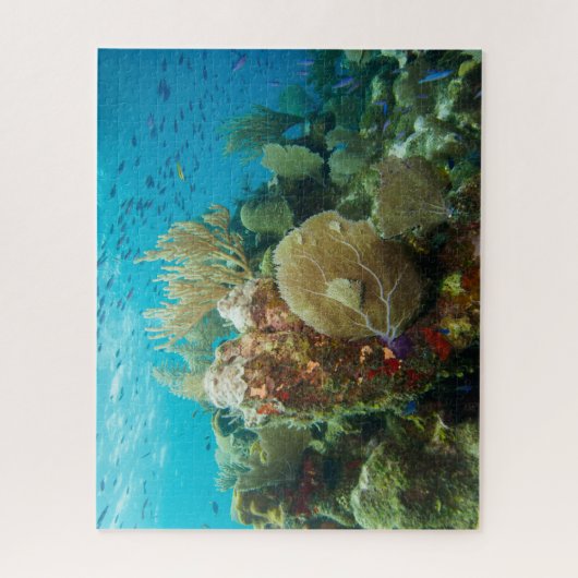 Farbenfrohe Korallenriff Jigsaw Puzzle (Vertikal)