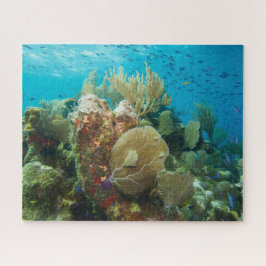 Farbenfrohe Korallenriff Jigsaw Puzzle