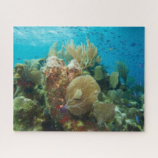 Farbenfrohe Korallenriff Jigsaw Puzzle (Horizontal)
