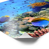 Farbenfrohe Korallenriff-Kritter Fotodruck (Ecke)