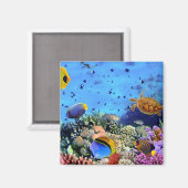 Farbenfrohe Korallenriff-Kritter Magnet (Vorderseite/Rückseite)