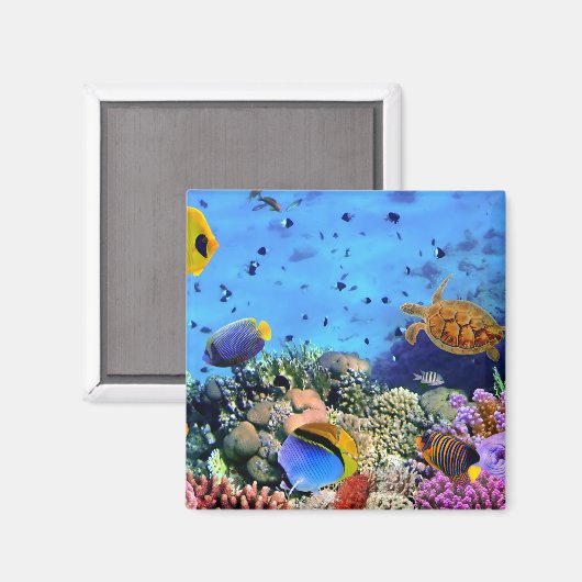 Farbenfrohe Korallenriff-Kritter Magnet (Vorderseite/Rückseite)