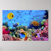 Farbenfrohe Korallenriff-Kritter Poster (Vorne)