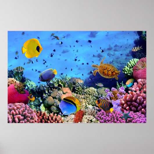 Farbenfrohe Korallenriff-Kritter Poster (Vorne)