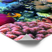 Farbenfrohe Korallenriff-Kritter Poster (Ecke)