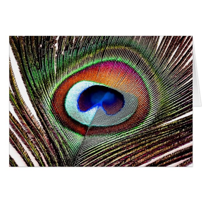 Farbenfrohe Kupfer Peacock Feaather (Vorderseite (Horizontal))