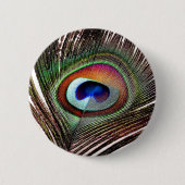 Farbenfrohe Kupfer Peacock Feaather Button (Vorderseite)