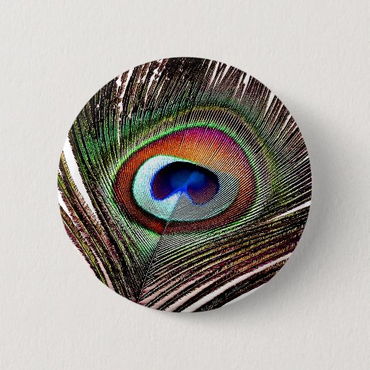 Farbenfrohe Kupfer Peacock Feaather Button (Vorderseite)