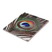 Farbenfrohe Kupfer Peacock Feaather Fliese (Seite)