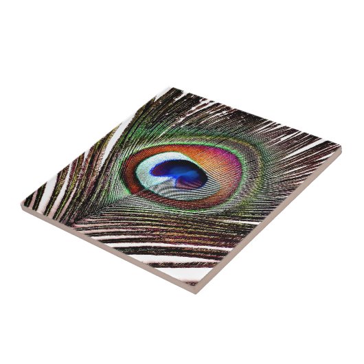 Farbenfrohe Kupfer Peacock Feaather Fliese (Seite)