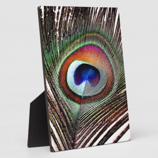 Farbenfrohe Kupfer Peacock Feaather Fotoplatte (Seite)