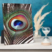 Farbenfrohe Kupfer Peacock Feaather Fotoplatte (Seite)