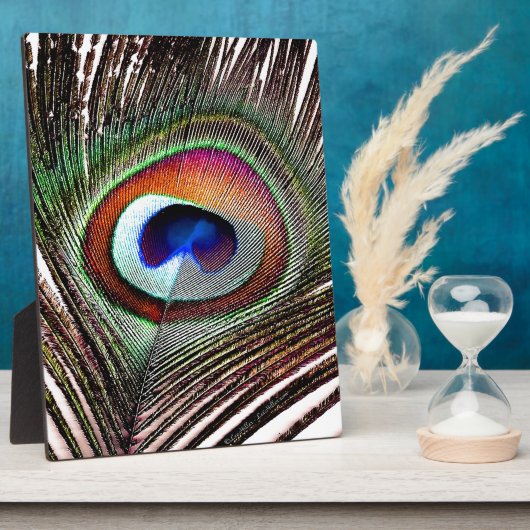 Farbenfrohe Kupfer Peacock Feaather Fotoplatte (Seite)